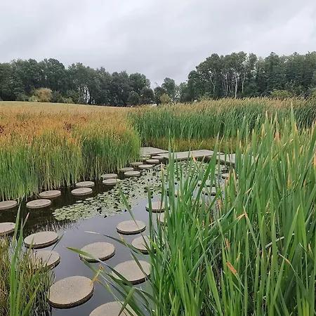 Marianna Wellness - - زلاكاروس