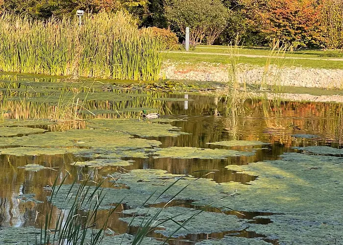 Marianna Wellness - - Zalakaros