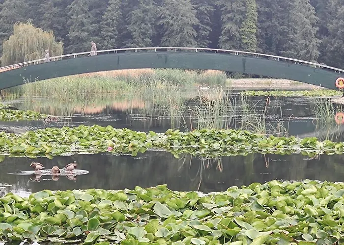 Marianna Wellness - -