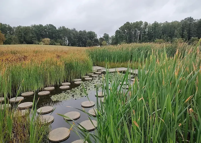 Marianna Wellness - - Zalakaros